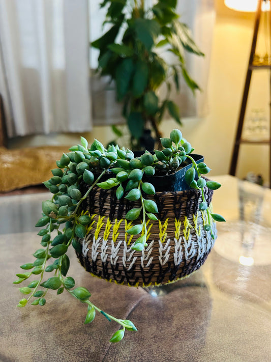 Pine Woven Mini Basket