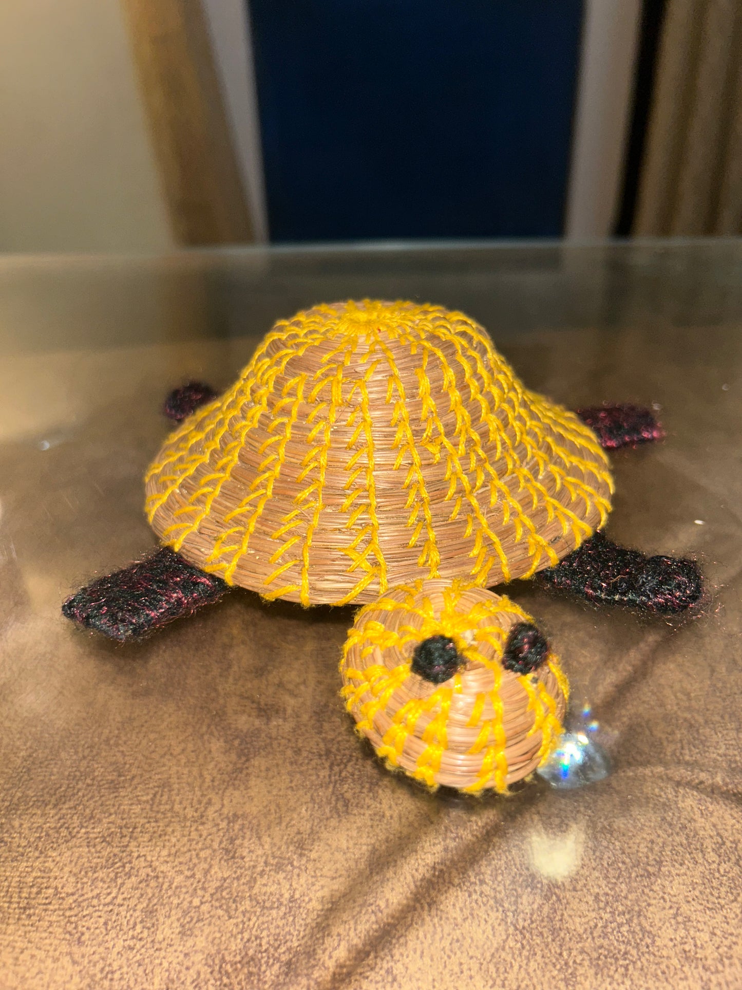 Pine Shell Turtle