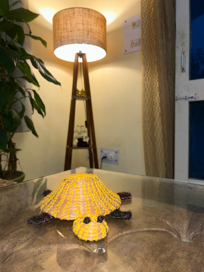 Pine Shell Turtle