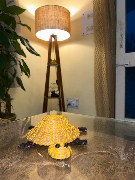Pine Shell Turtle